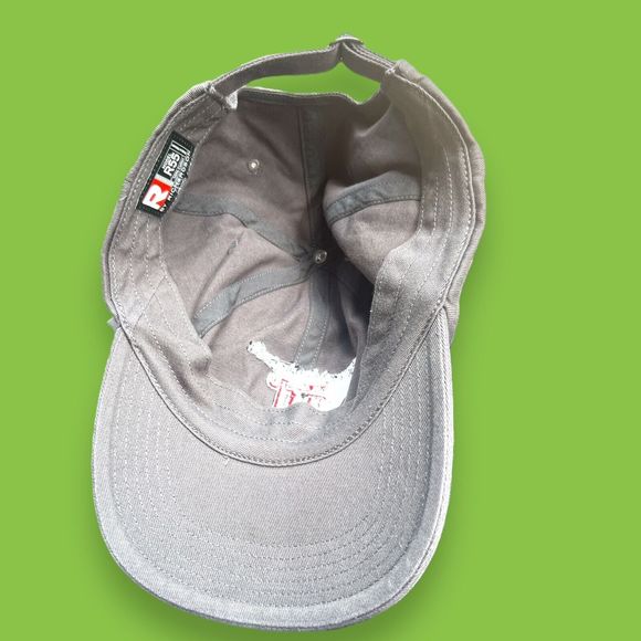 University of Tampa Adjustable Baseball Cap Rene Martinez Sr Golf Classic Gray - Picture 6 of 7